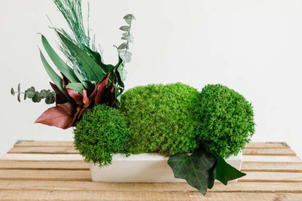 Betonvase mit Islandmoos und Pflanzen
