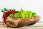 Holzschale mit Islandmoos Kugelmoos und Pflanzen