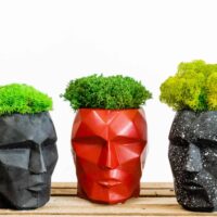 3D BetonVase mit Islandmoos Provence und Kugelmoos Satz von 2Stk