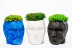 3D BetonVase mit Islandmoos Provence und Kugelmoos