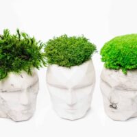 3D BetonVase mit Islandmoos Provence und Kugelmoos Satz von 2Stk