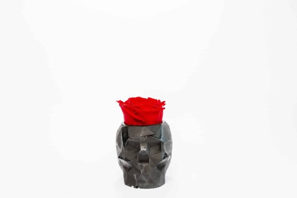 Beton Vase 3D mit Rose