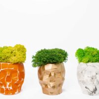 3D Beton Vase mit Islandmoos – Satz von 2 Stk.