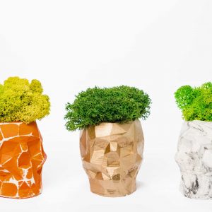 3D Beton Vase mit Islandmoos und Pflanzen
