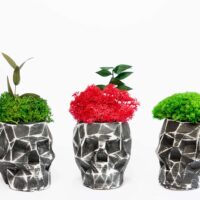 3D Beton Vase mit Islandmoos und Pflanzen. Satz von 2 Stk.