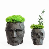 3D Beton Vase mit Islandmoos und Pflanzen. Satz von 2 Stk.