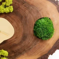 Wanduhr aus Massivholz und Moos