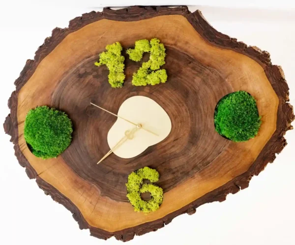 Wanduhr aus Baumscheibe mit Kugelmoos und Islandmoos
