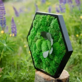 Hexagon mit Kugelmoos und Pflanzen
