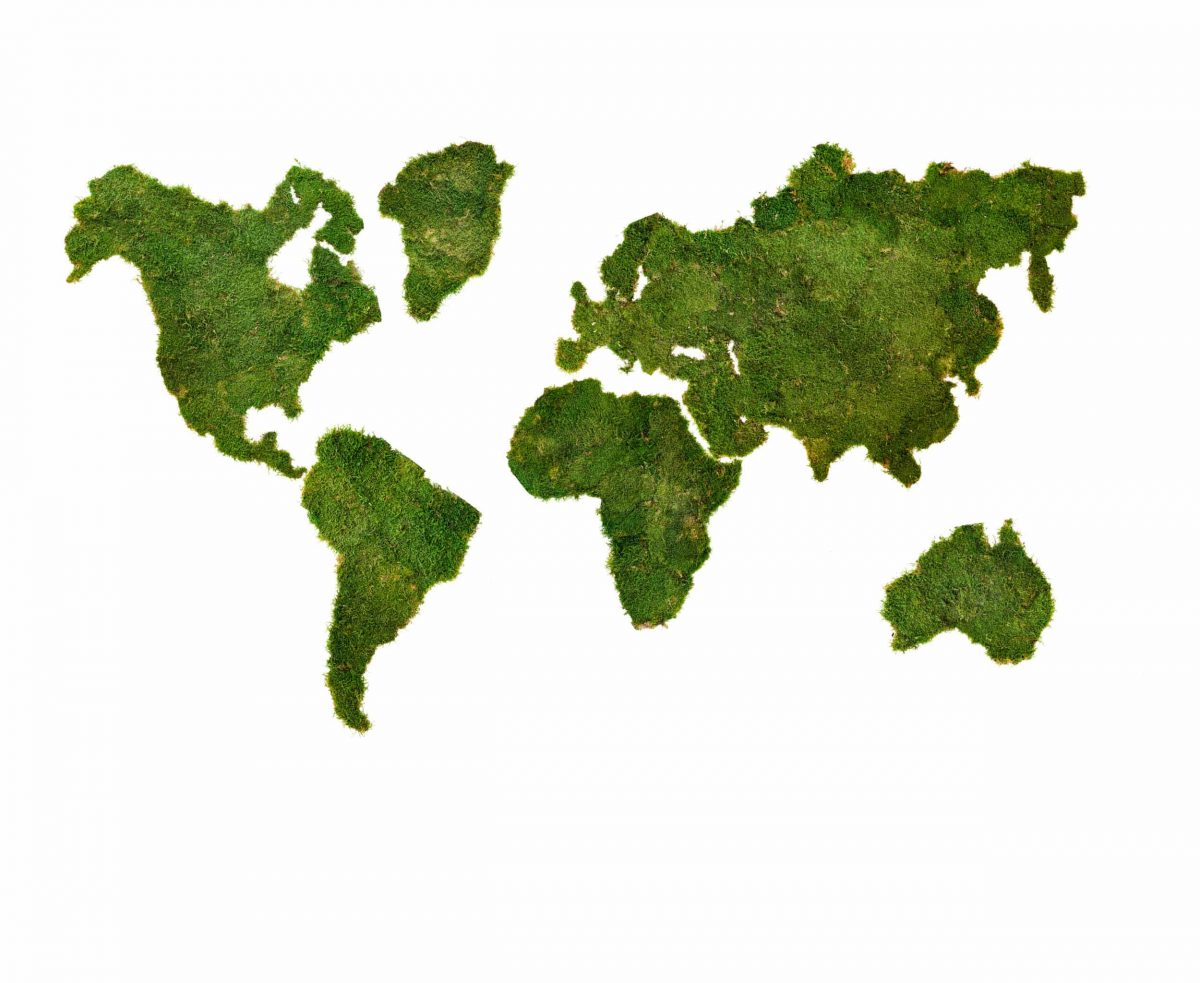 Weltkarte aus Flachmoos - Festland