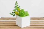 Quadratische Betonvase mit Islandmoos und Pflanzen