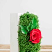 Betonvase mit Moos und Rose. Satz von 2 Stk.