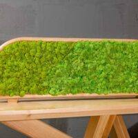 Tischteiler aus Moos