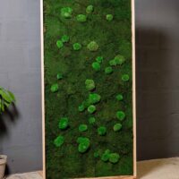 Mobile Trennwände Holz und Moos | Moos Raumteiler