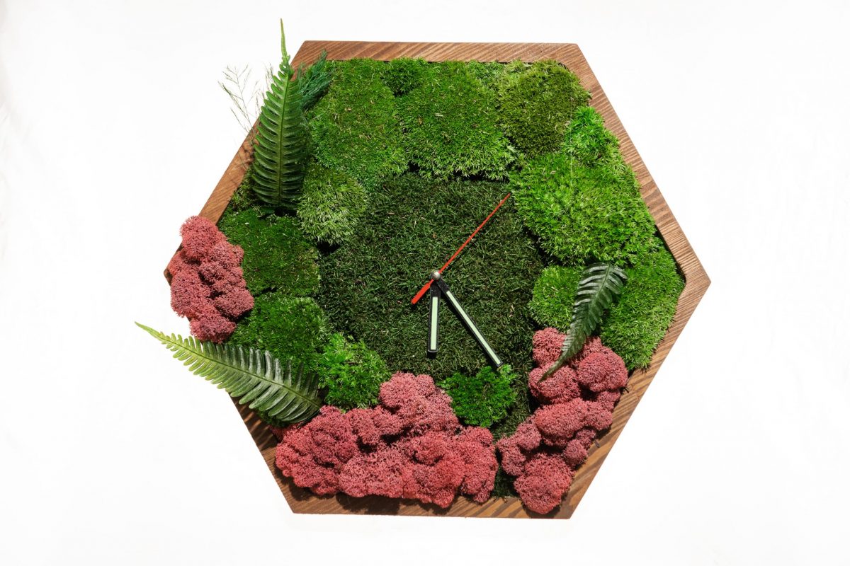 Hexagon Uhr mit Moos und Pflanzen