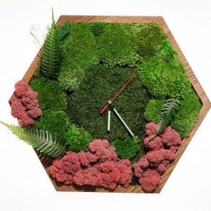 Hexagon Uhr mit Moos und Pflanzen