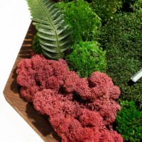 Hexagon Uhr mit Moos und Pflanzen