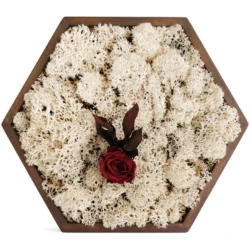 Hexagon mit Islandmoos und Rose