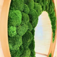 Runde Spiegel in Rahmen mit Kugelmoos