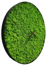 Runde Wanduhr mit Islandmoos
