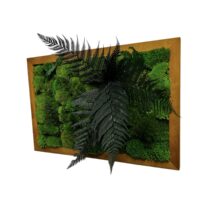 Moosbild mit Kugelmoos und Pflanzen