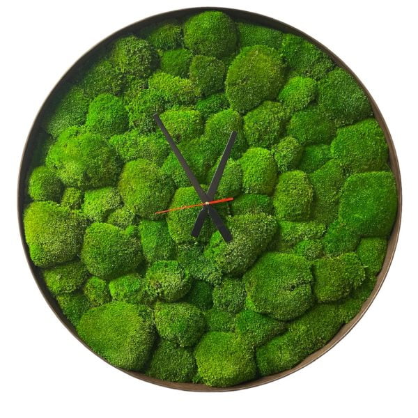 Runde Uhr mit Kugelmoos