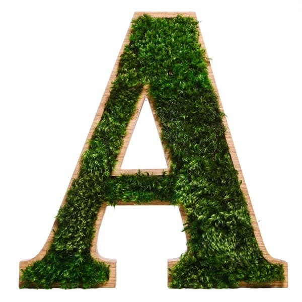 3D Holzbuchstaben für Logo aus Provence Moos A-Z 0-9