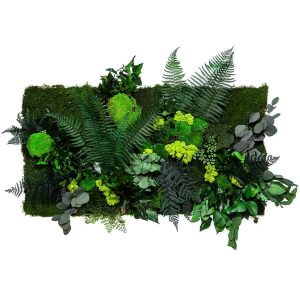 Pflanzenbild - Dschungel Moospaneel