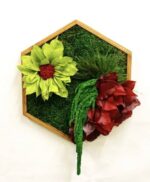 Moosbild Hexagon mit Pflanzen und Moos und Blumen