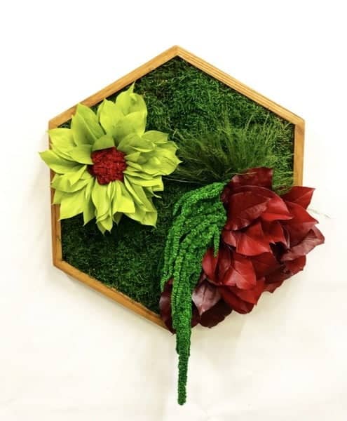 Moosbild Hexagon mit Pflanzen und Moos und Blumen