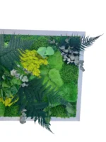 Pflanzenbild - Dschungel