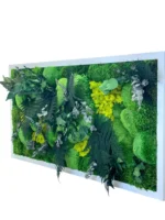 Pflanzenbild - Dschungel