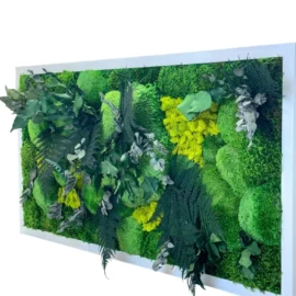 Pflanzenbild - Dschungel