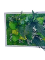 Pflanzenbild - Dschungel