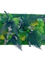 Pflanzenbild - Dschungel