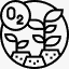 Mooswände 4 photosynthesis