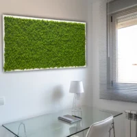 Moosbild mit Islandmoos