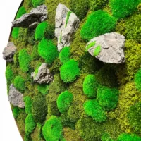 Runde Moosbild mit Moos und Stein