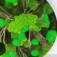 Runde Moosbild mit Moos und Treibholz