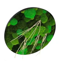 Runde Moosbild Mix aus Moosen mit Treibholz