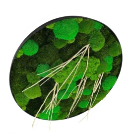 Runde Moosbild Mix aus Moosen mit Treibholz