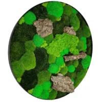 Runde Moosbild mit Mix Moos und Treibholz