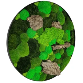 Runde Moosbild mit Mix Moos und Treibholz