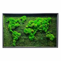 Moosbild Weltkarte mit Flachmoos und Kugelmoos