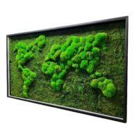 Moosbild Weltkarte mit Flachmoos und Kugelmoos