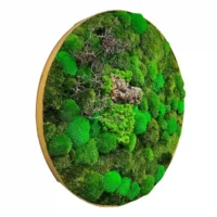 Runde Moosbild mit Holz