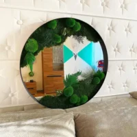 Spiegel mit Moos und Pflanzen. Dschungel