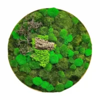 Runde Moosbild mit Holz