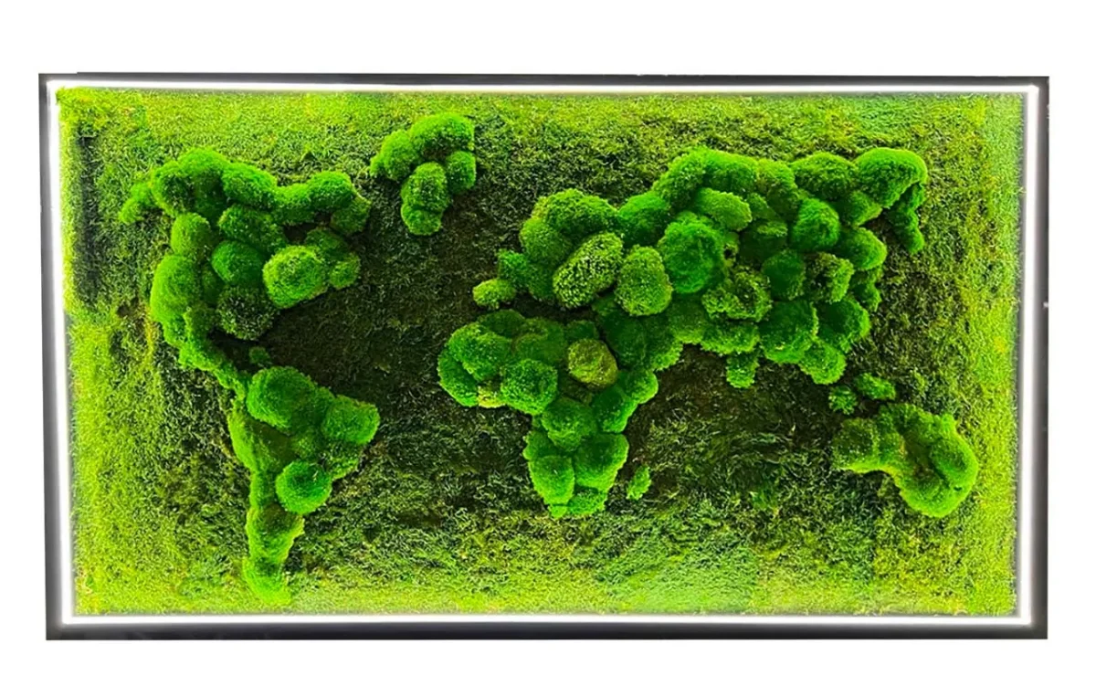 3D Weltkarte Beleuchtet und Kugelmoos Flachmoos