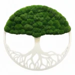 Moosbaum mit Kugelmoos. Baum des Lebens